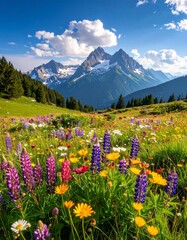 Fototapeta premium Bergwiese mit Wildblumen im Sommer