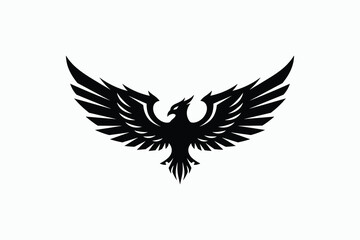 Obraz premium Adobe Illustrator Artwork