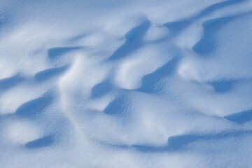 Obraz premium Abstract Blue Shadows on Soft Winter Snow Surface