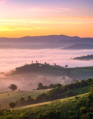 Obraz premium Sonnenaufgang über sanften Hügeln