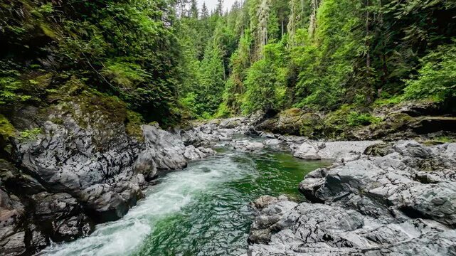 Aerial drone tracking shot flying forward and downstream over a rocky river in a lush green forest