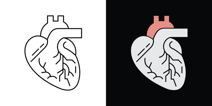 Realistic human hart icon black and white background . vector illustration 