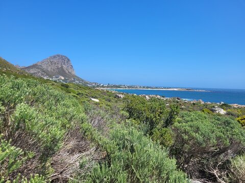 Coastal landscape of Gordon&rsquo;s Bay with fynbos vegetation and False Bay under clear blue sky, Western Cape, South Africa.