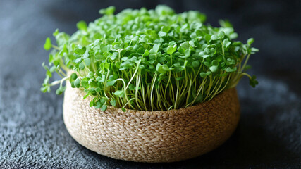 Fresh organic garden cress microgreens growing in a rustic woven bowl on a dark textured background