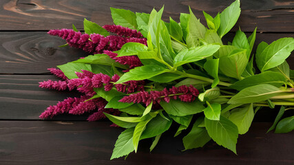 Freshly harvested amaranth plant with vibrant purple flowers and green leaves on a dark wooden background