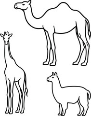 Obraz premium Minimalist black line vector illustration set of a giraffe camel and llama in profile for zoo safari nature and educational animal themed designs