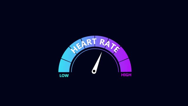 Animated Heart rate level meter increasing from normal to high level. Heart rate Level Text or Word Low to High Meter Concept animation on blue background.