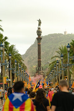 Protesters carrying Estelada (Catalan independence) flags march down Passeig de Colom toward the Columbus Monument during the National Day of Catalonia, known as La Diada. The annual event commemorate