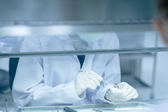 Forensic pathologist extracting trace evidence specimen via precision forceps. Crime lab expert conducting post-mortem biological analysis protocols on sterile tray.