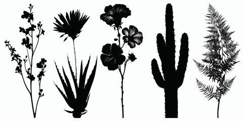 A collection of various plants and flowers in black and white silhouettes © DARK TRUST