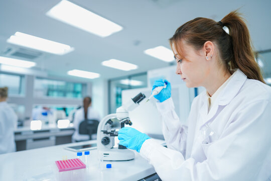Pharmaceutical researcher performing precise chemical aliquot application on test slide. Young scientist validating biochemical compound reaction in modern biotech lab.