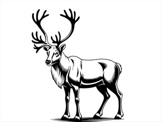 Black‑and‑white drawing of reindeer with large branched antlers, bold lines and shading emphasizing musculature and fur, symbolizing wildlife, strength, and majesty © Formless Ink
