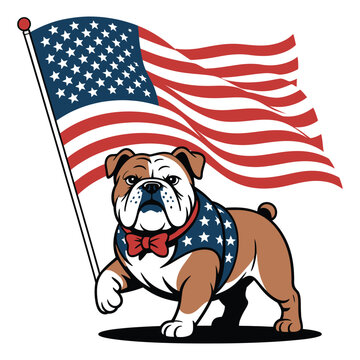 American bulldog patriotic mascot standing proudly with waving united states flag vector illustration for fourth of july independence day celebration and national pride events graphics