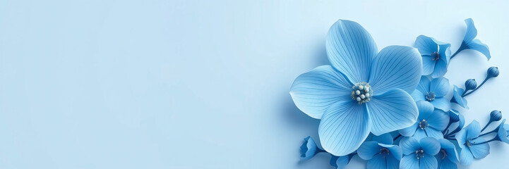 Blue Flowers On A Blank Background
