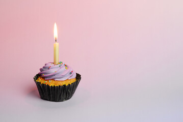 Cupcake with lit candle celebrating birthday occasion