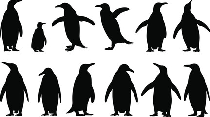 Penguin silhouette set, black arctic bird poses collection, wildlife vector illustration isolated on white background animal icon pack © Mst