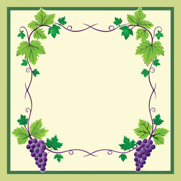 Vineyard grapes with leaves and vines border