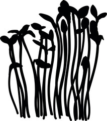 Black silhouette of sunflower microgreens isolated on white background