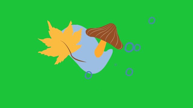 Minimal autumn flat animation with leaf and mushroom abstract shapes on green background smooth loop motion