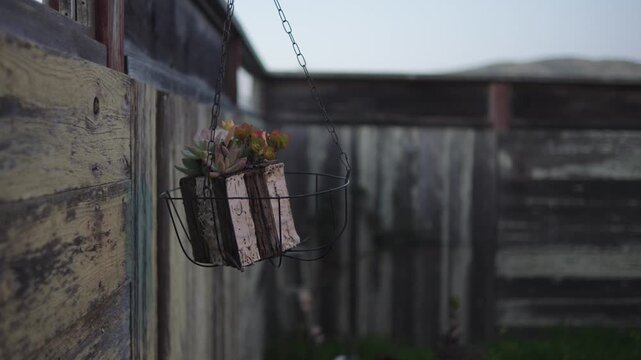 Hanging succulent planter swinging by a rustic fence