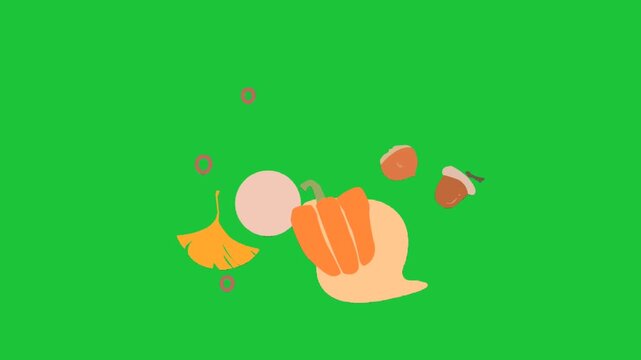 Flat design autumn elements with pumpkin leaves and acorns on green background simple seasonal animation colorful minimal style