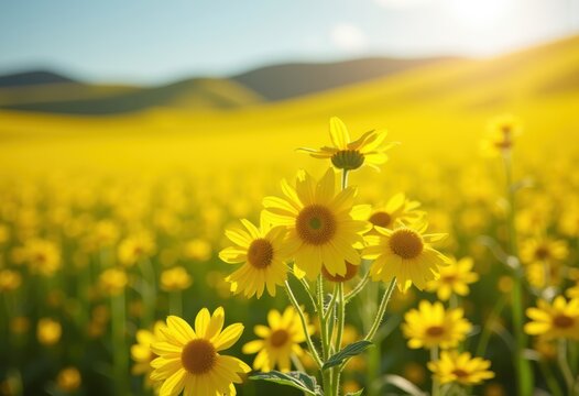 Golden Yellow Rapeseed Field Creating Vibrant Farmland Carpet Agricultural Beauty