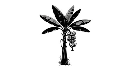 Black and White Banana Tree Illustration.