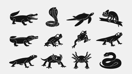 Fototapeta premium Digital Illustration of 12 Black Animal Silhouettes Arranged in Four Rows of Three on Light Gray Background for Educational Use