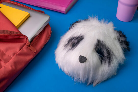Handmade Panda Mask for Quadrobics on Desk with Laptop and Backpack
