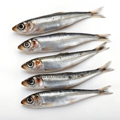 Fototapeta premium Five fresh raw sardines isolated on a white background