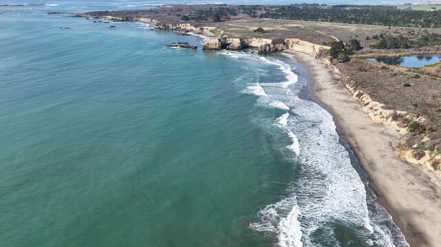 Elephant seals migrating and resting on Ano Nuevo Beach in California aerial