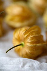 Close-Up of Physalis Peruviana Fruit