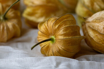 Close-Up of Physalis Peruviana Fruit
