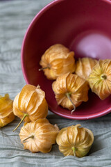Close-Up of Physalis Peruviana Fruit