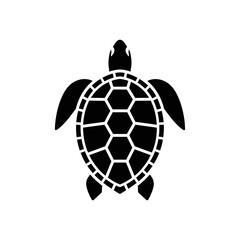 Fototapeta premium turtle vector illustration