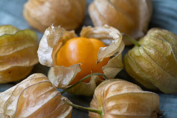 Close-Up of Physalis Peruviana Fruit