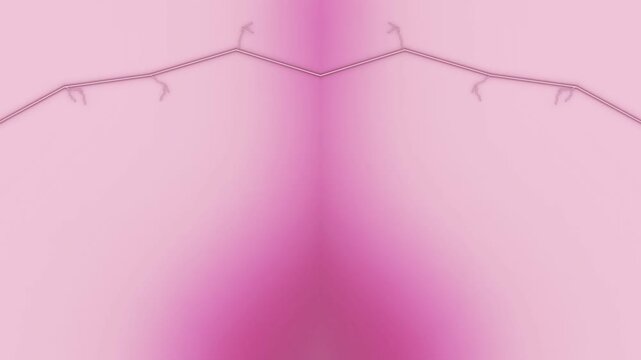 Symmetrical branch illustration with pink gradient background viewed from directly above