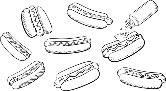 Hand Drawn Hot Dog Collection with Mustard and Ketchup Bottle White Background hotdog