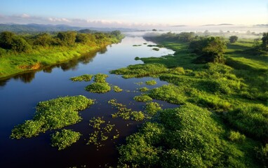 Obraz premium Serene Dawn Over a Calm River with Floating Vegetation and Misty Landscape