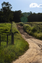 Fototapeta premium Sunlit dirt road winding through green pastures and wooden fences on a traditional Brazilian farm