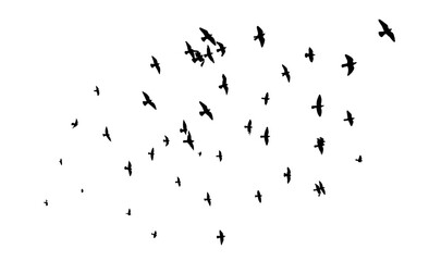 Obraz premium Flying birds silhouette flock. hand drawing. Not AI. Vector illustration