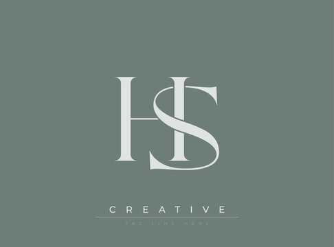 HS Creative Luxury Logo. This logo crafted for creative branding and luxury business identity. Ideal for boutique fashion labels, premium stationery, corporate mark, and marketing materials.