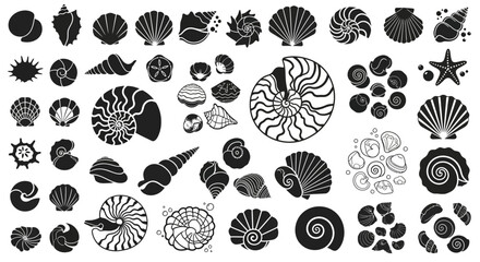 Collection of Seashells and Starfish Vector Icons: Nautical and Marine Life Graphics