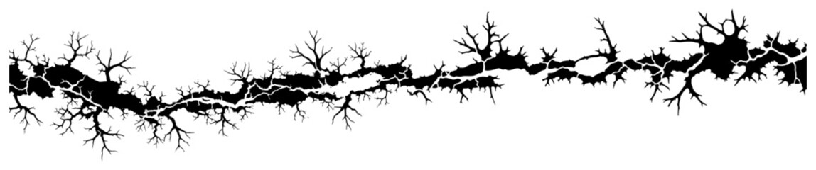 Detailed horizontal black ground crack silhouette with jagged branch edges on white background © AnimalZOO