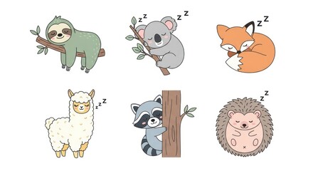 Fototapeta premium Cartoon animals collection sloth koala fox llama raccoon hedgehog illustrations
