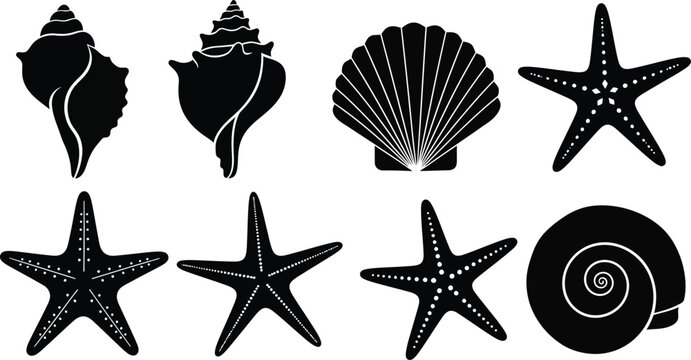 A collection of black seashell and starfish silhouettes arranged in a row on transparent background high quality professional detailed modern elegant
