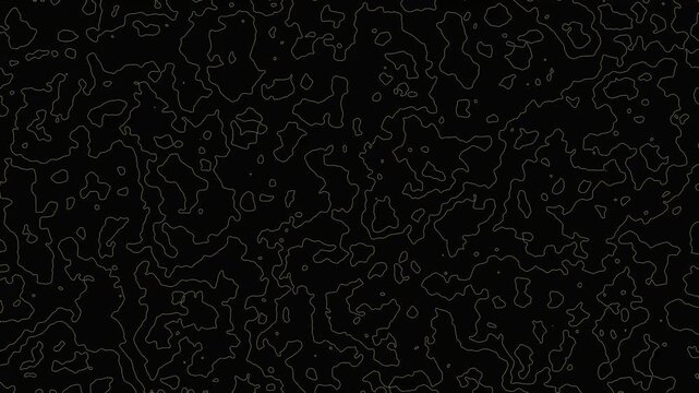 Modern abstract luxury flowing topographic contour map lines pattern background motion loop