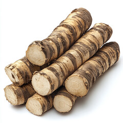A stack of fresh burdock roots cut into pieces and isolated on a white background