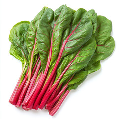 Fresh bunch of Swiss chard with vibrant red stems and green leaves isolated on white background