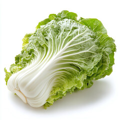 Fresh green napa cabbage head with crisp white stalks isolated on a white background